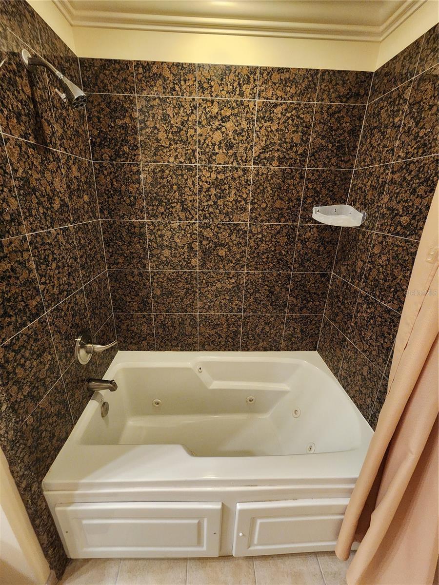 13415 BLUE HERON BEACH DR #1501, ORLANDO, FL, 32821