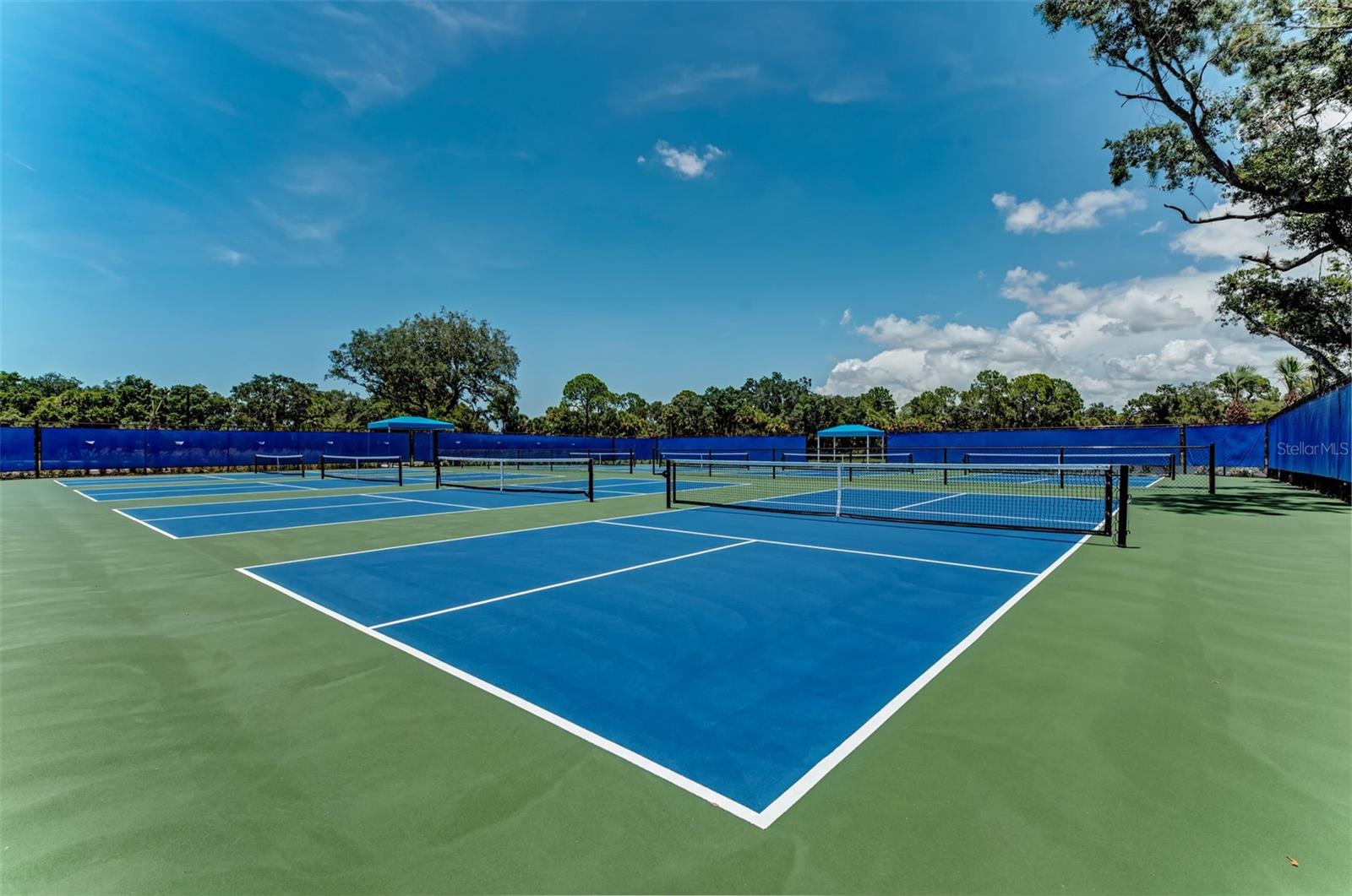 12386 SAGEWOOD DR, VENICE, FL, 34293