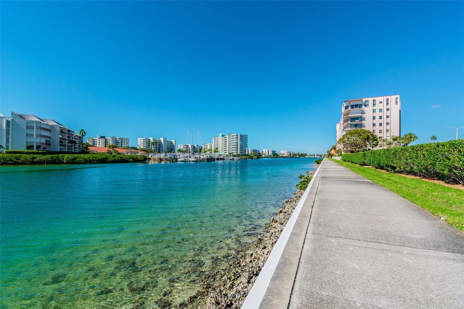 7300 SUN ISLAND DR S #203, SOUTH PASADENA, FL, 33707