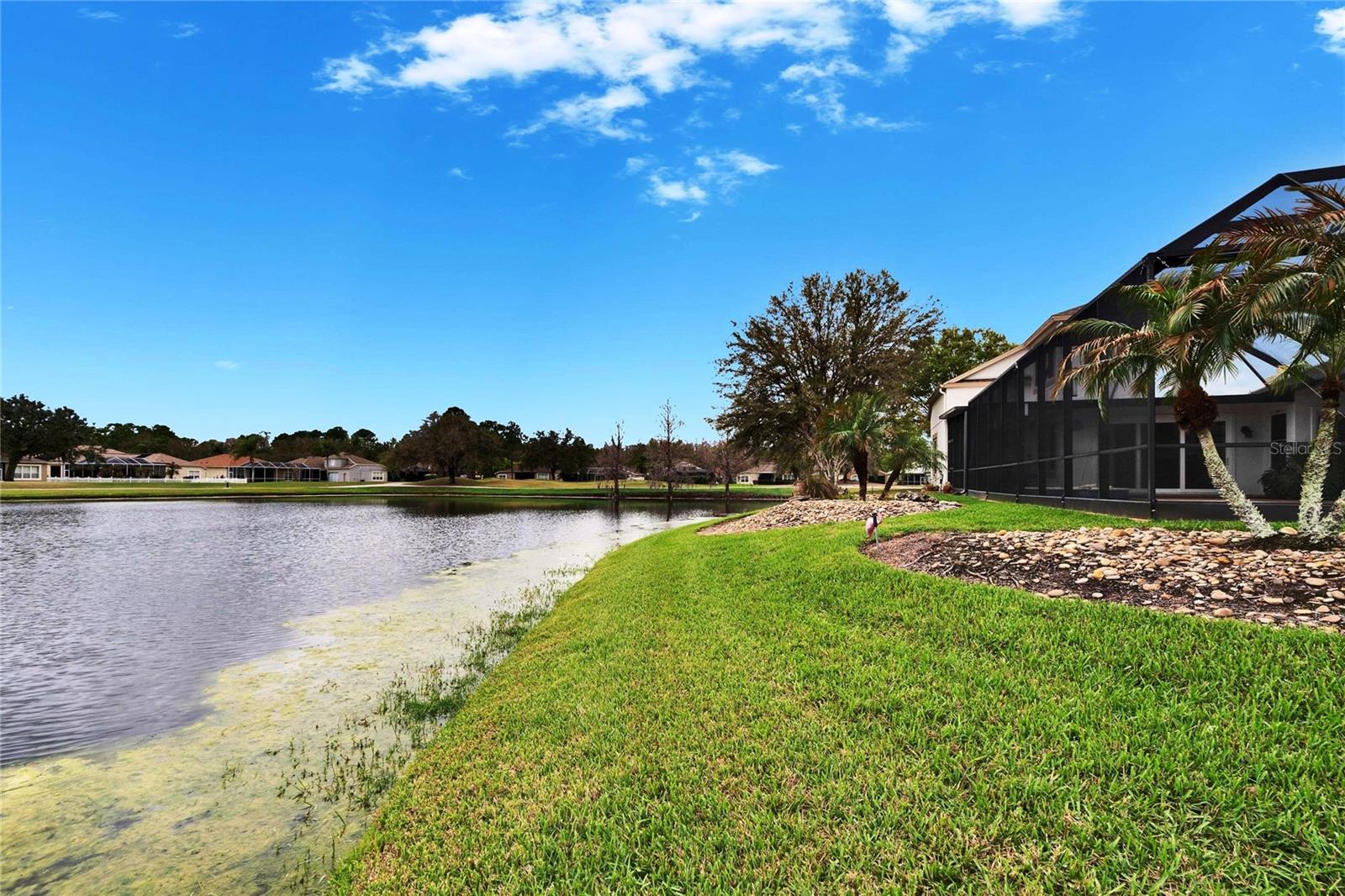 25622 FERDINAND CT, WESLEY CHAPEL, FL, 33544