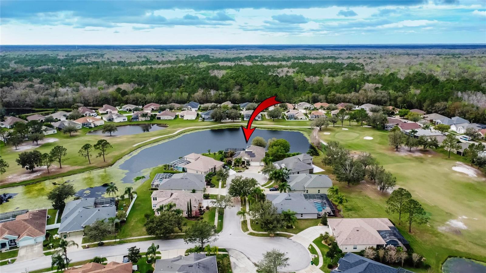 25622 FERDINAND CT, WESLEY CHAPEL, FL, 33544