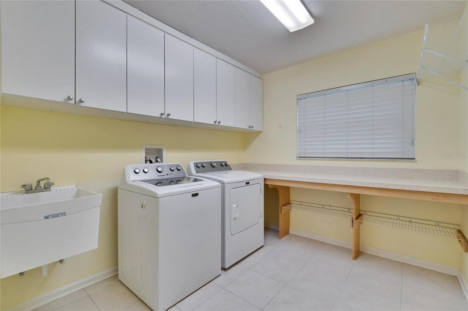 25622 FERDINAND CT, WESLEY CHAPEL, FL, 33544
