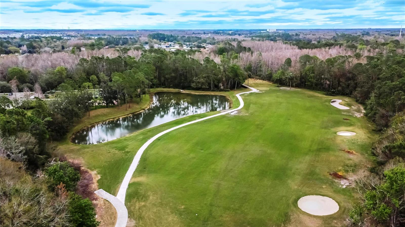 25622 FERDINAND CT, WESLEY CHAPEL, FL, 33544