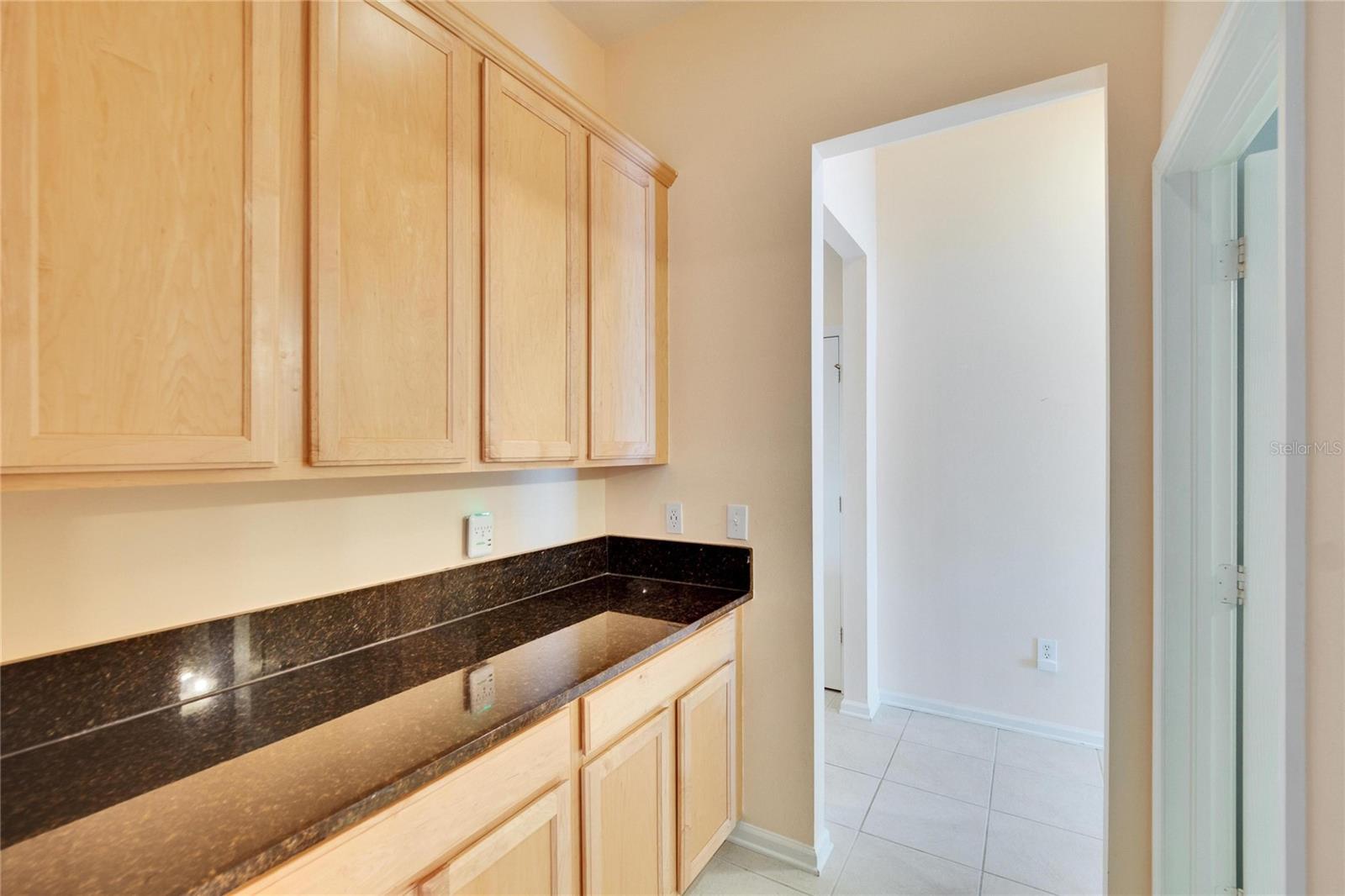 25622 FERDINAND CT, WESLEY CHAPEL, FL, 33544