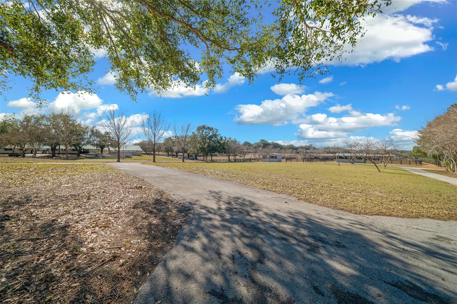16921 SE 19TH CT, SUMMERFIELD, FL, 34491