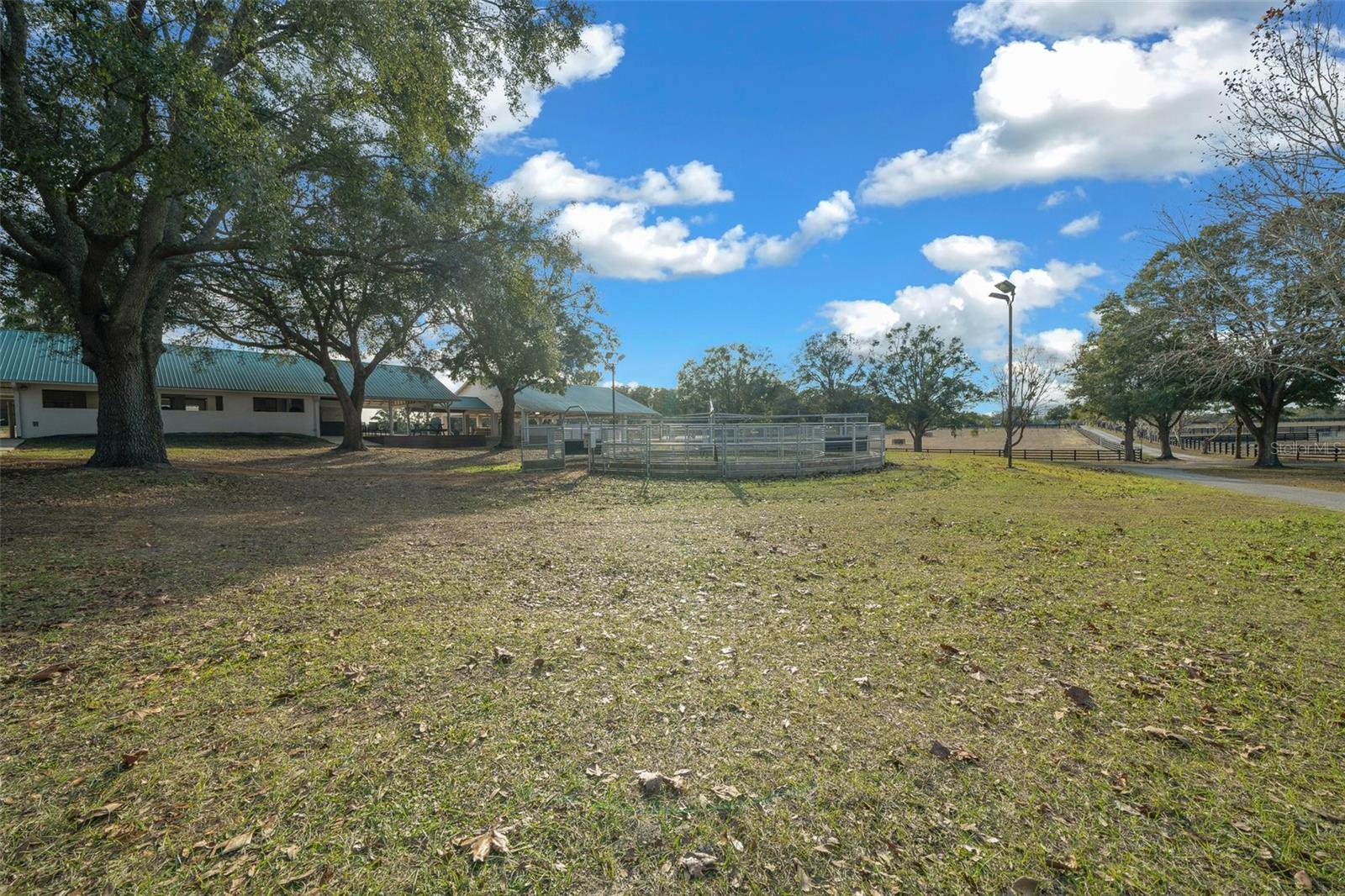 16921 SE 19TH CT, SUMMERFIELD, FL, 34491