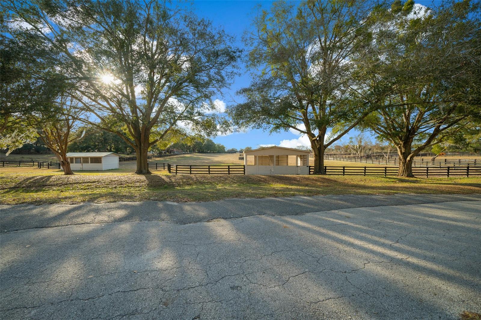 16921 SE 19TH CT, SUMMERFIELD, FL, 34491