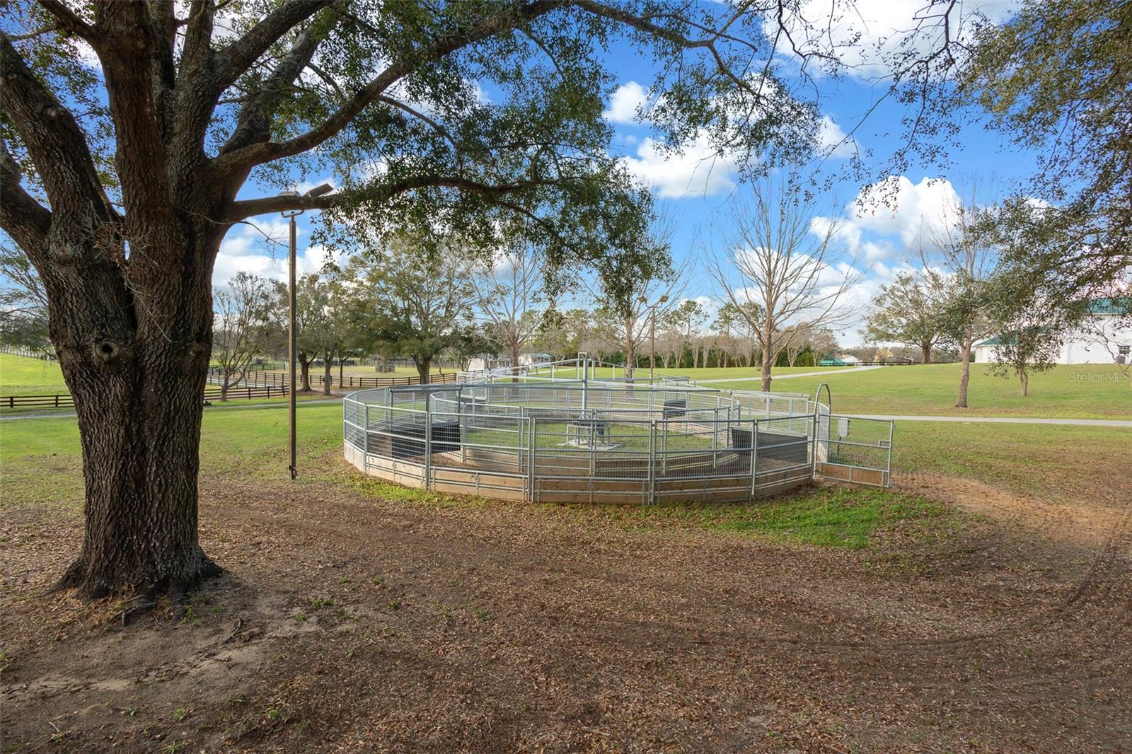 16921 SE 19TH CT, SUMMERFIELD, FL, 34491
