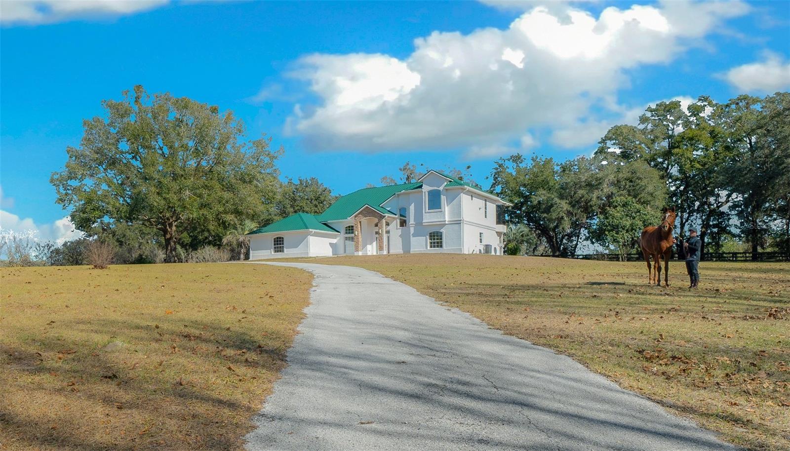 16921 SE 19TH CT, SUMMERFIELD, FL, 34491