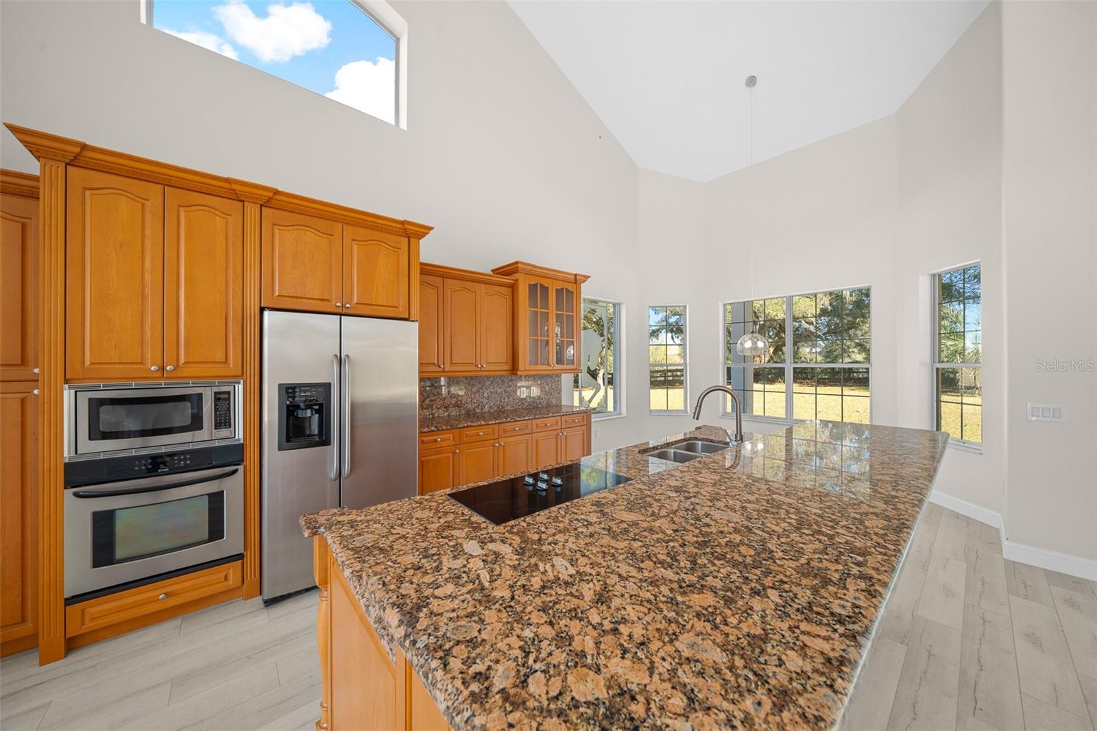 16921 SE 19TH CT, SUMMERFIELD, FL, 34491