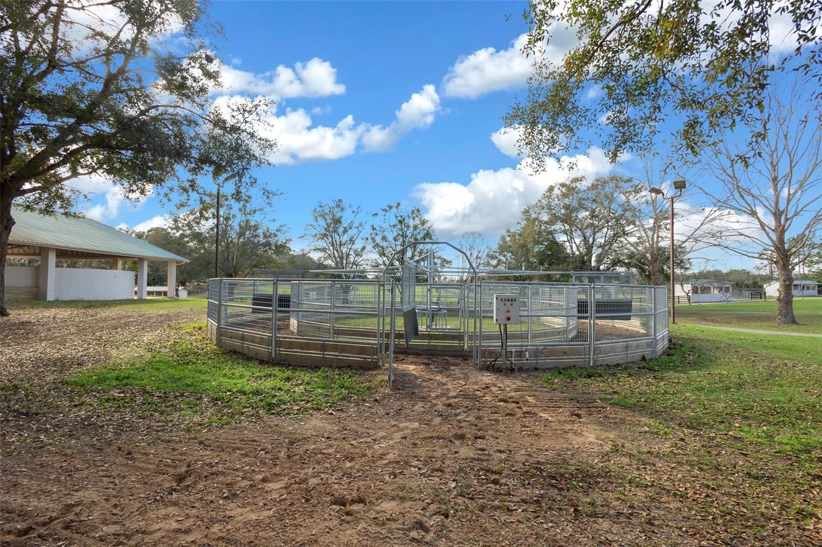 16921 SE 19TH CT, SUMMERFIELD, FL, 34491