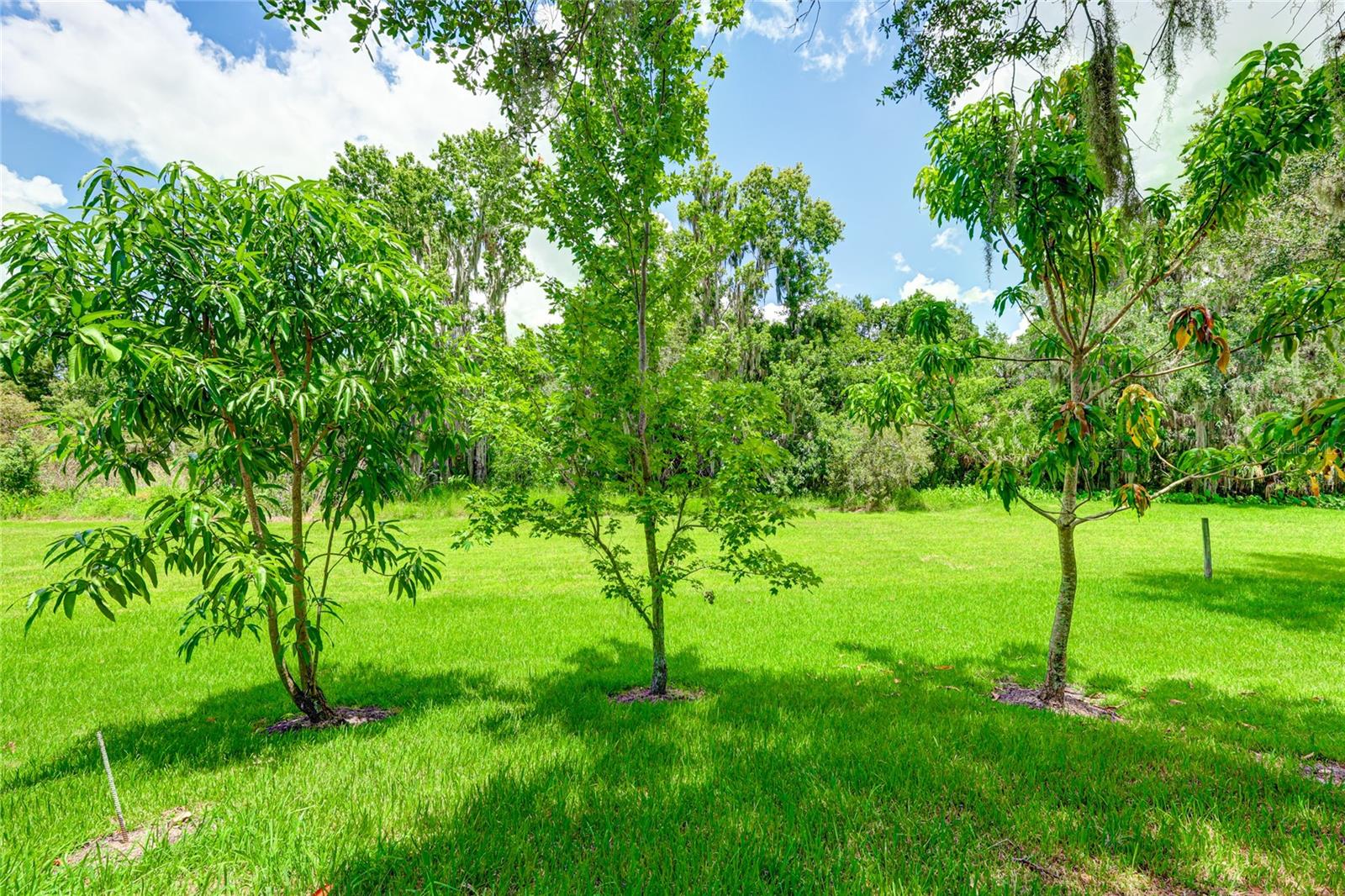 11662 OLD CYPRESS CV, PARRISH, FL, 34219