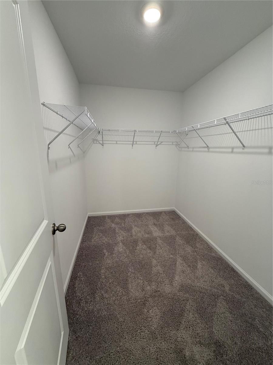 6219 DAERR RIDGE ST, ZEPHYRHILLS, FL, 33542