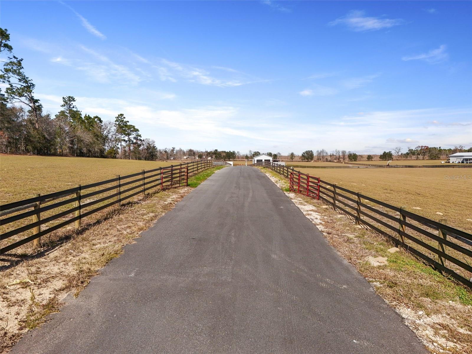 14771 SE 60TH ST, MORRISTON, FL, 32668
