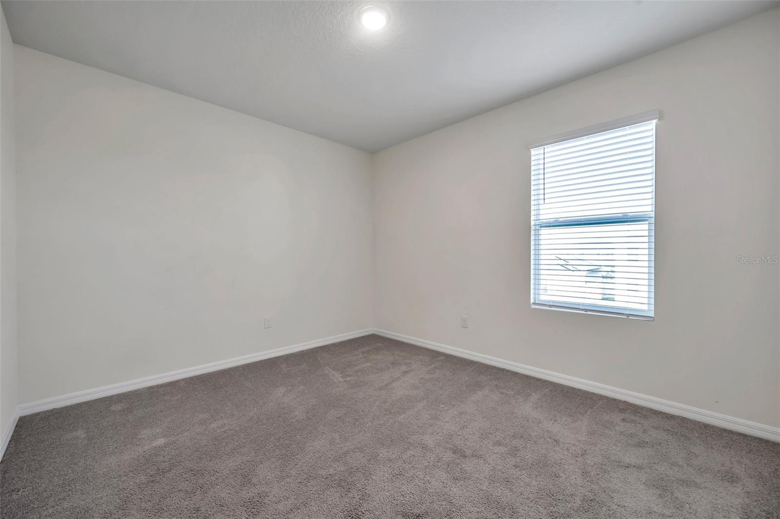 5484 WARRINGTON TOWN PATH, WESLEY CHAPEL, FL, 33545