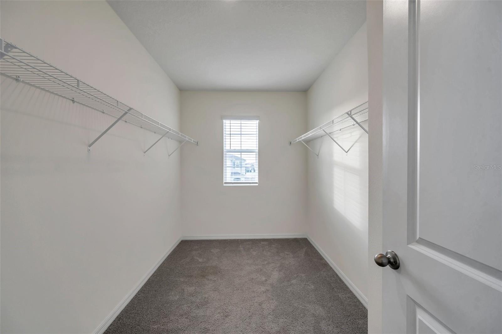 5484 WARRINGTON TOWN PATH, WESLEY CHAPEL, FL, 33545