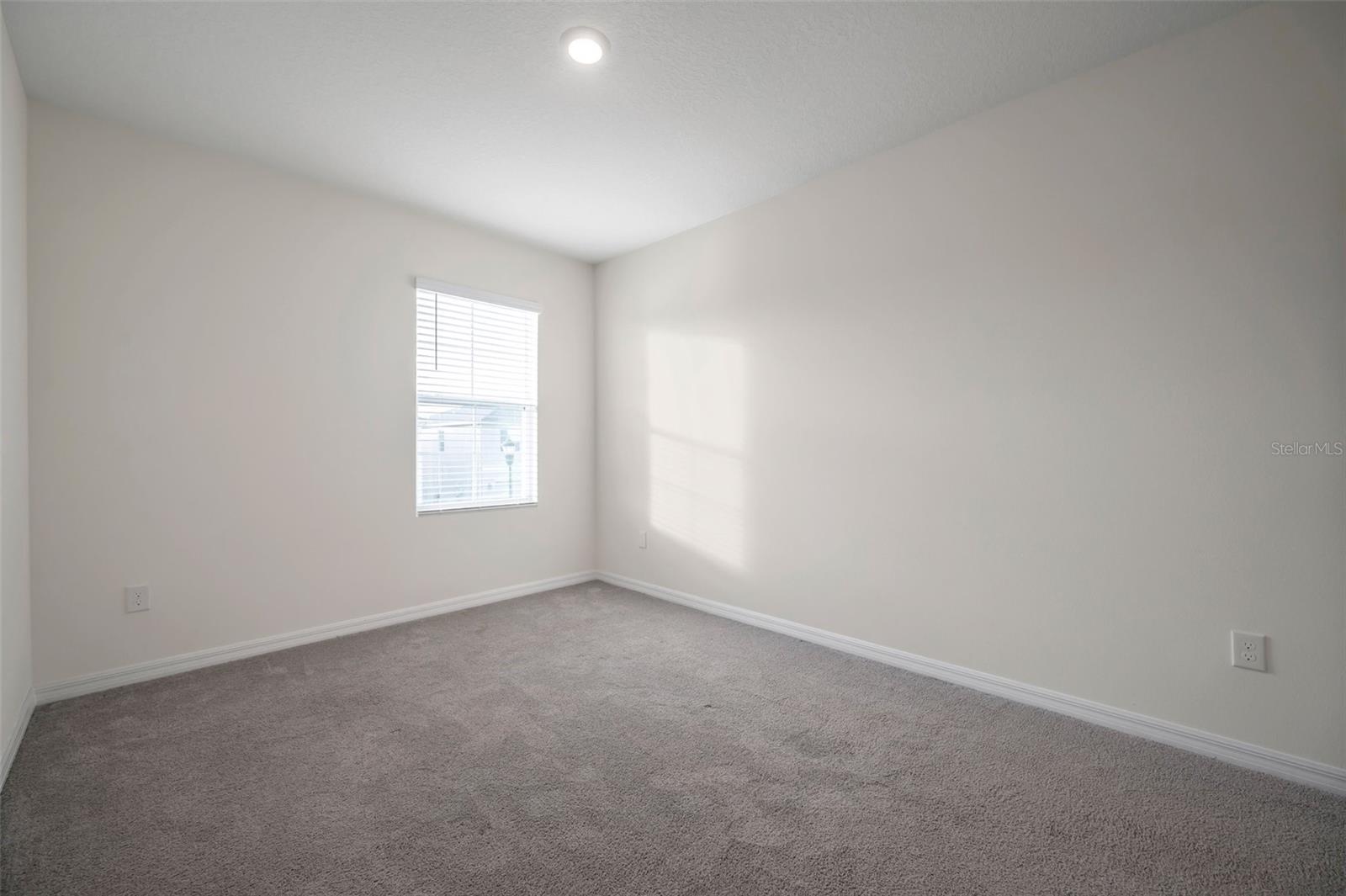 5484 WARRINGTON TOWN PATH, WESLEY CHAPEL, FL, 33545