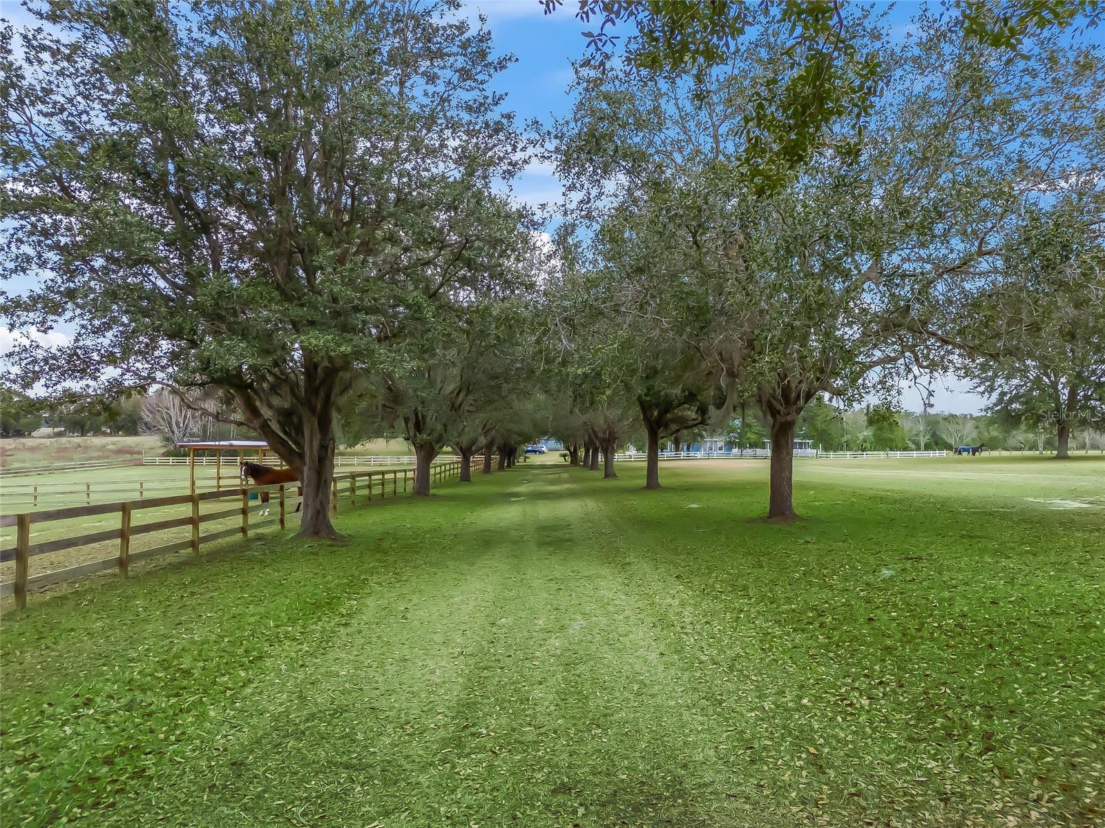 20921 SW 36TH ST, DUNNELLON, FL, 34431