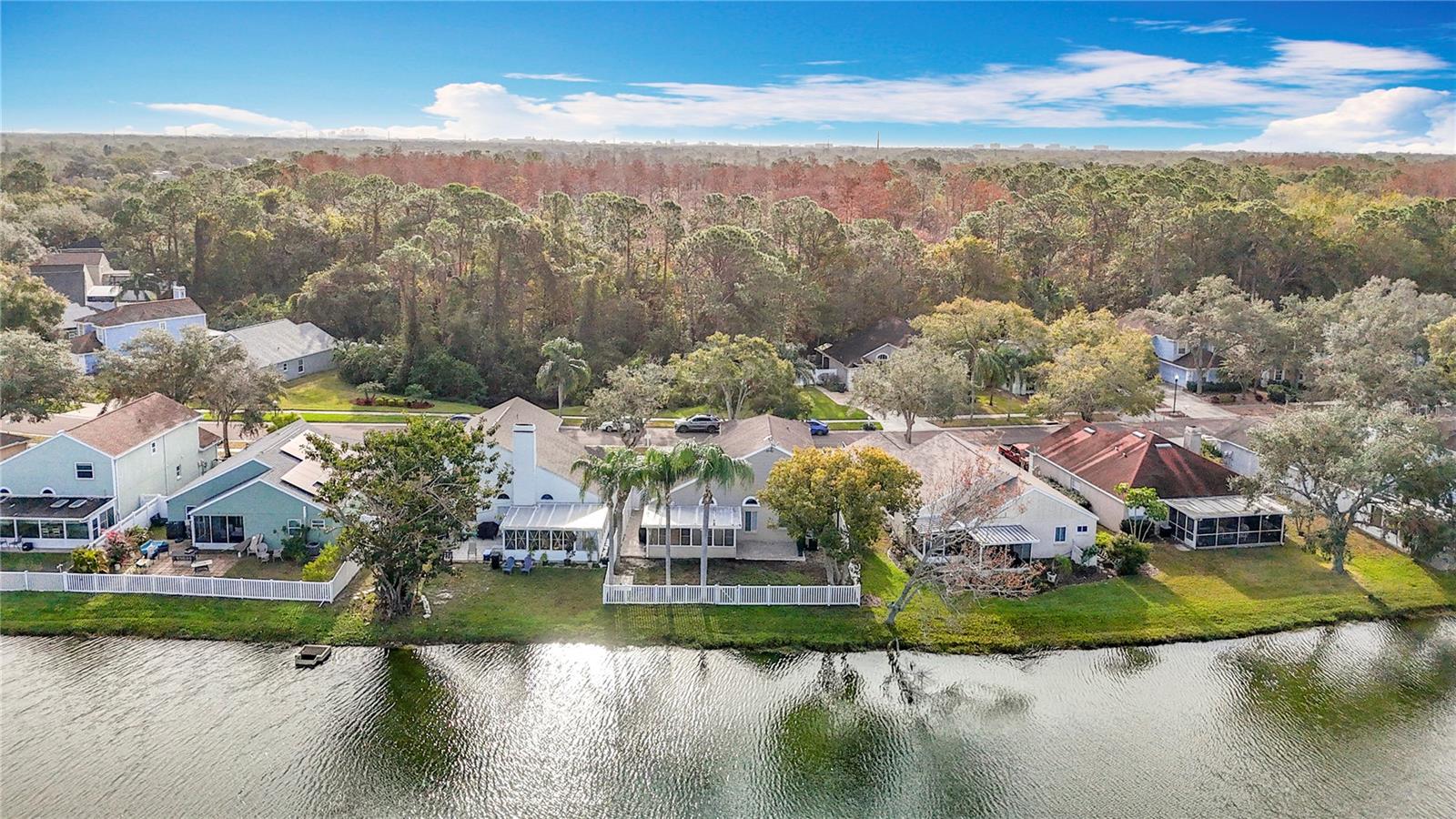 9709 FREDERICKSBURG RD, TAMPA, FL, 33635