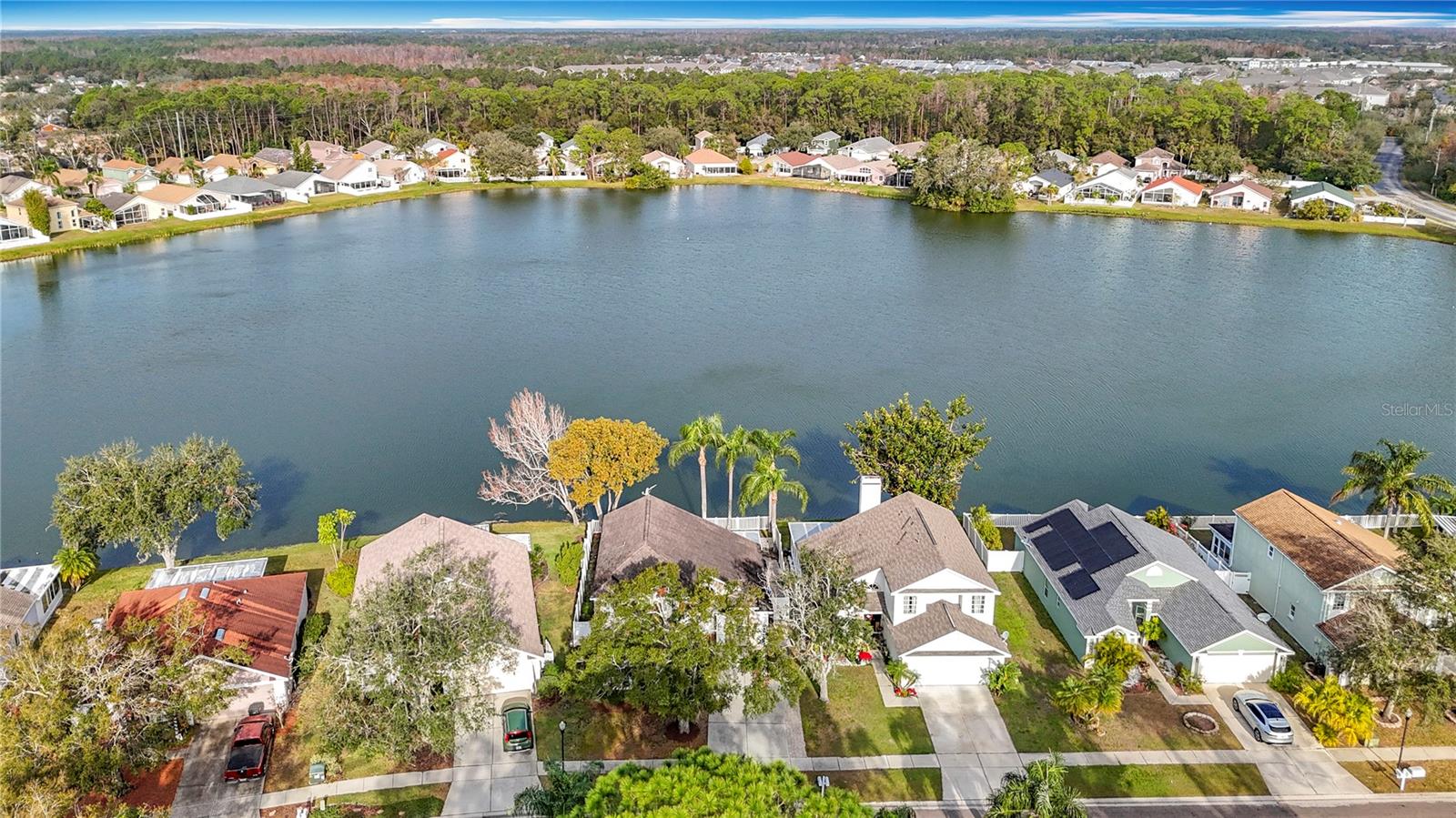 9709 FREDERICKSBURG RD, TAMPA, FL, 33635
