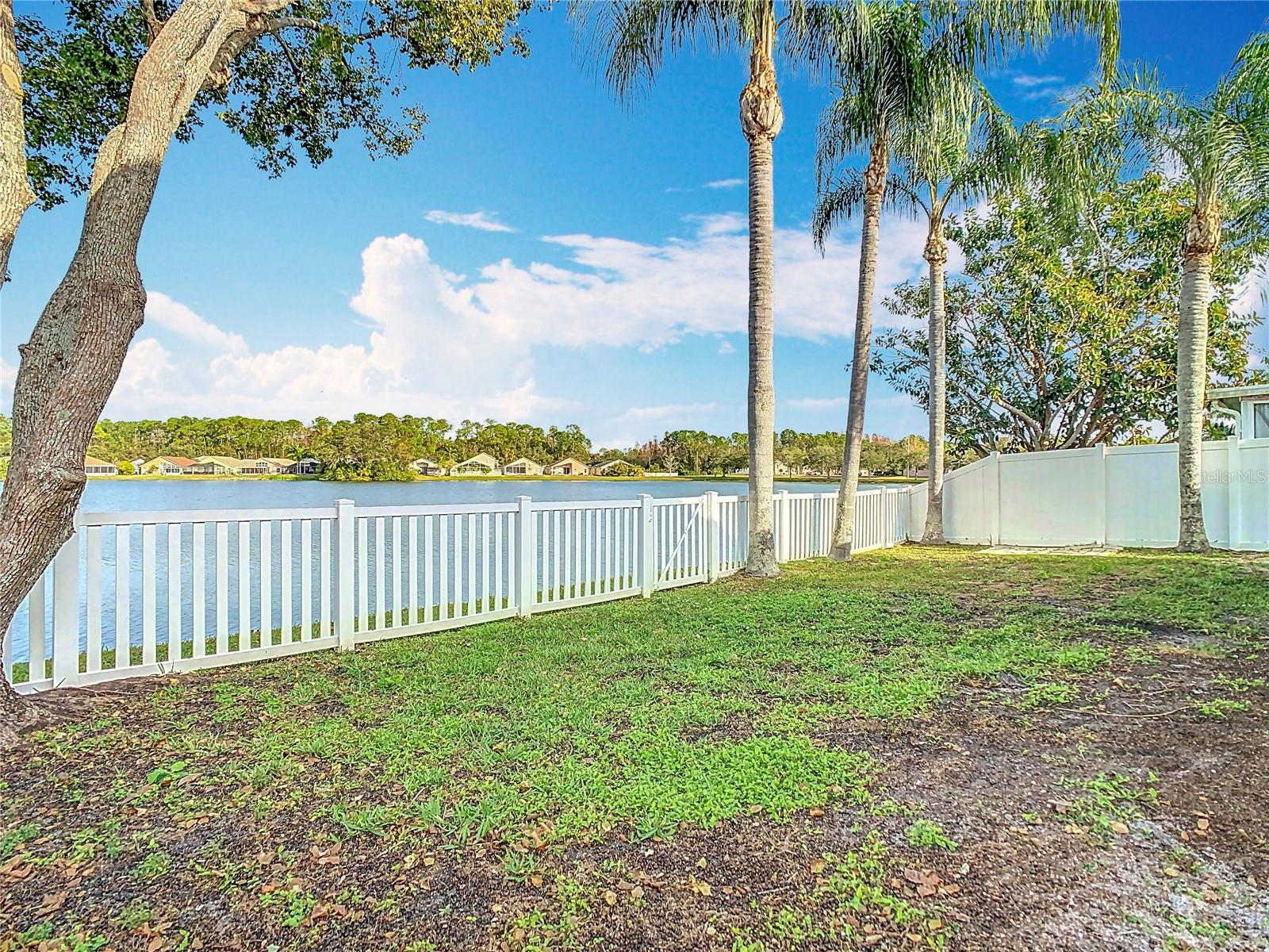 9709 FREDERICKSBURG RD, TAMPA, FL, 33635
