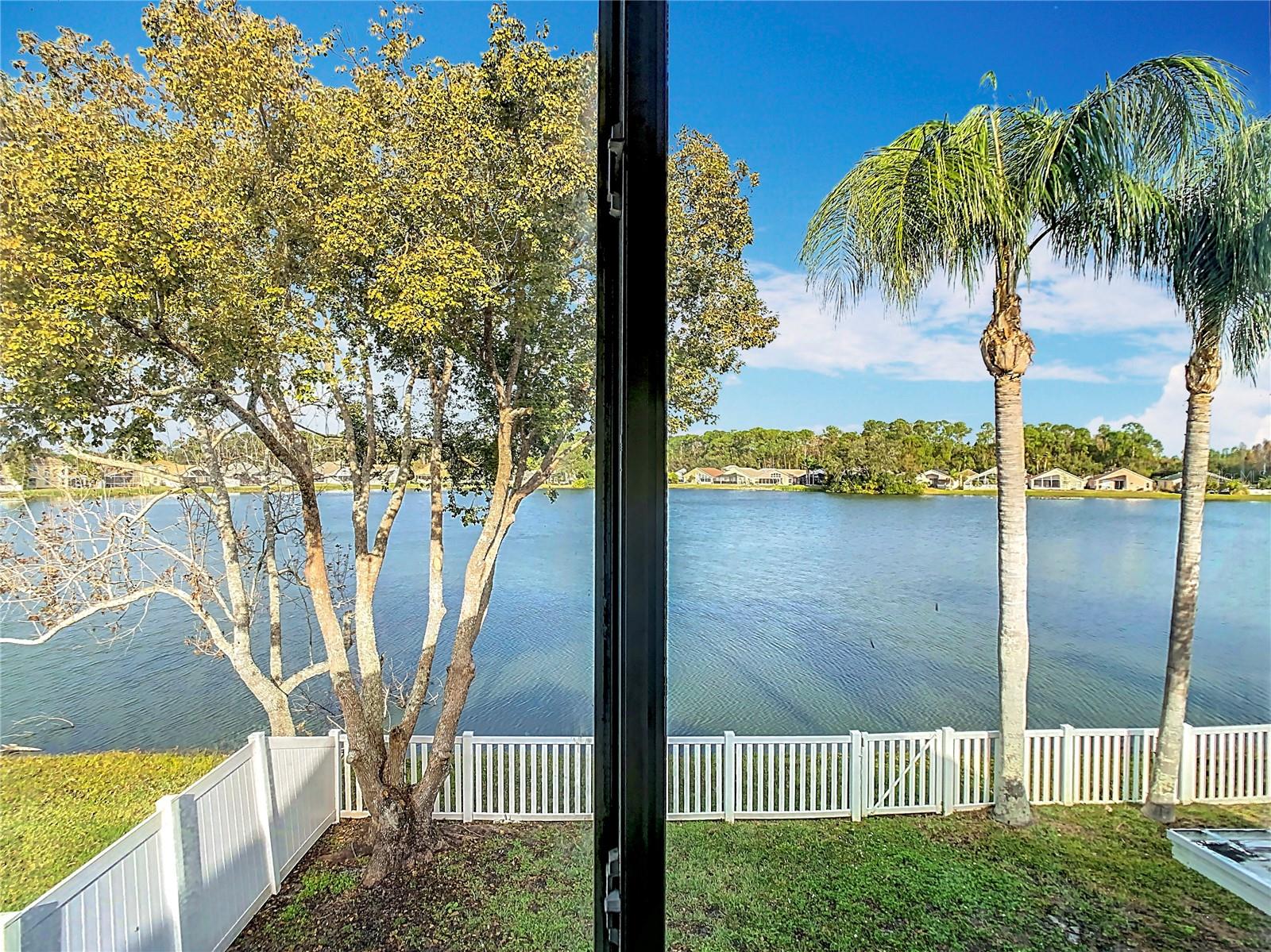 9709 FREDERICKSBURG RD, TAMPA, FL, 33635