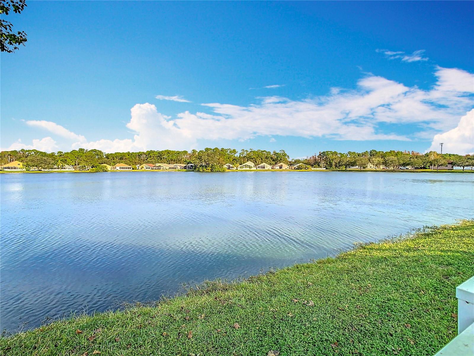 9709 FREDERICKSBURG RD, TAMPA, FL, 33635