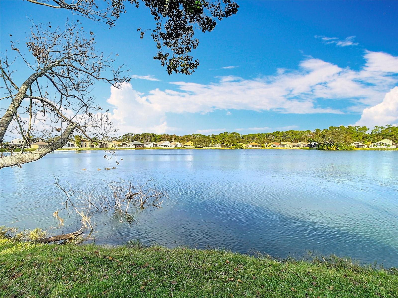 9709 FREDERICKSBURG RD, TAMPA, FL, 33635