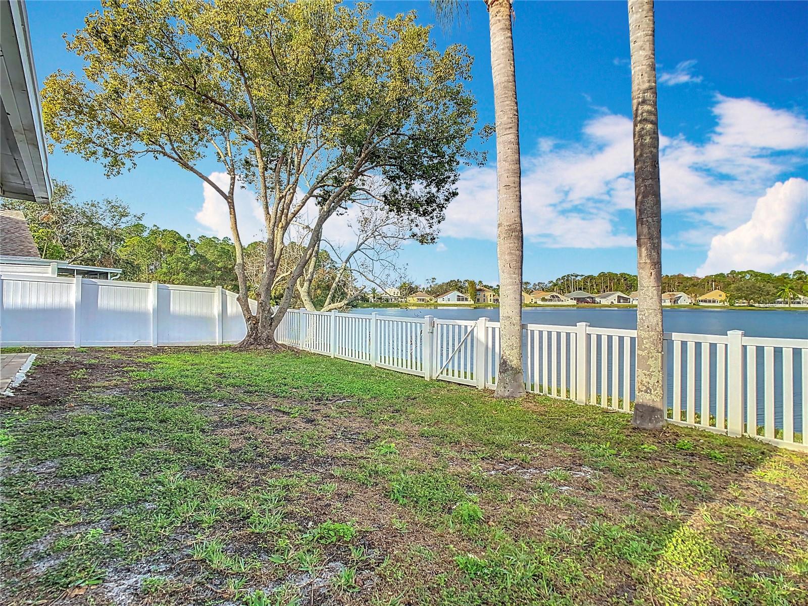 9709 FREDERICKSBURG RD, TAMPA, FL, 33635