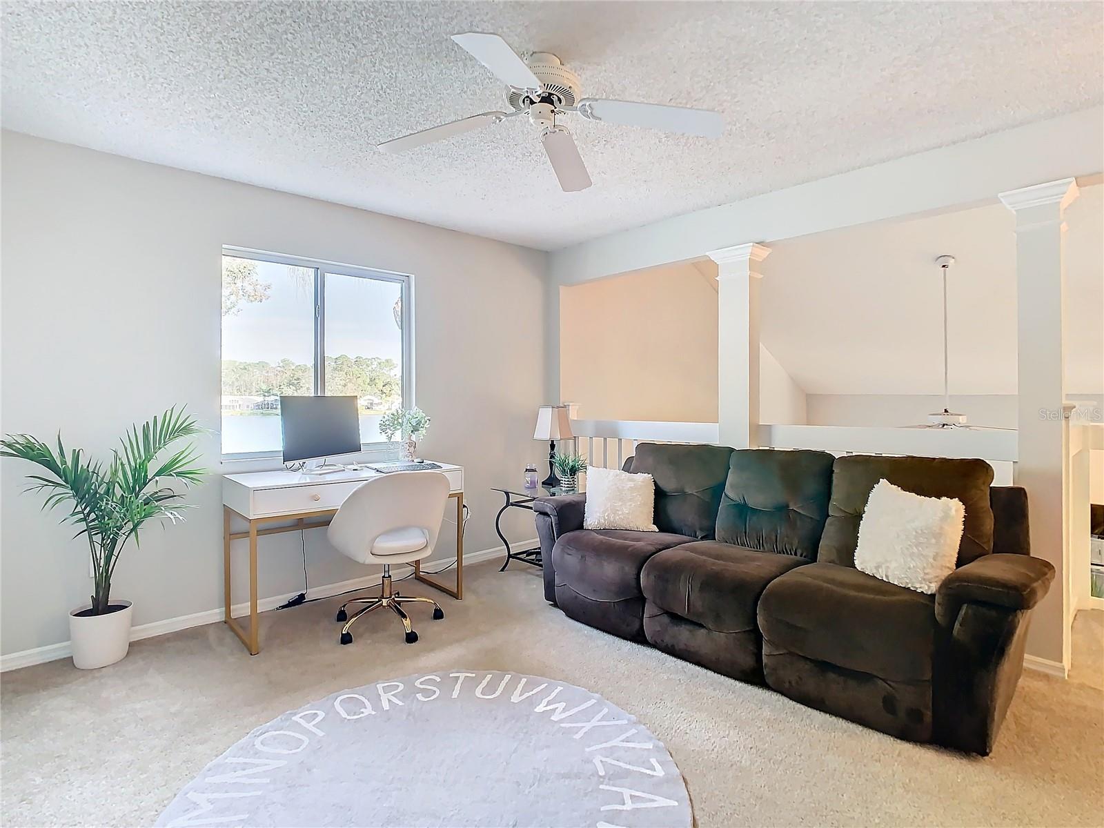 9709 FREDERICKSBURG RD, TAMPA, FL, 33635