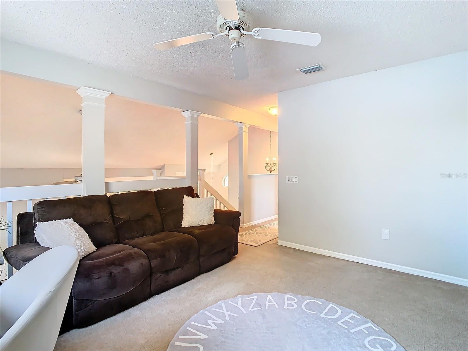 9709 FREDERICKSBURG RD, TAMPA, FL, 33635