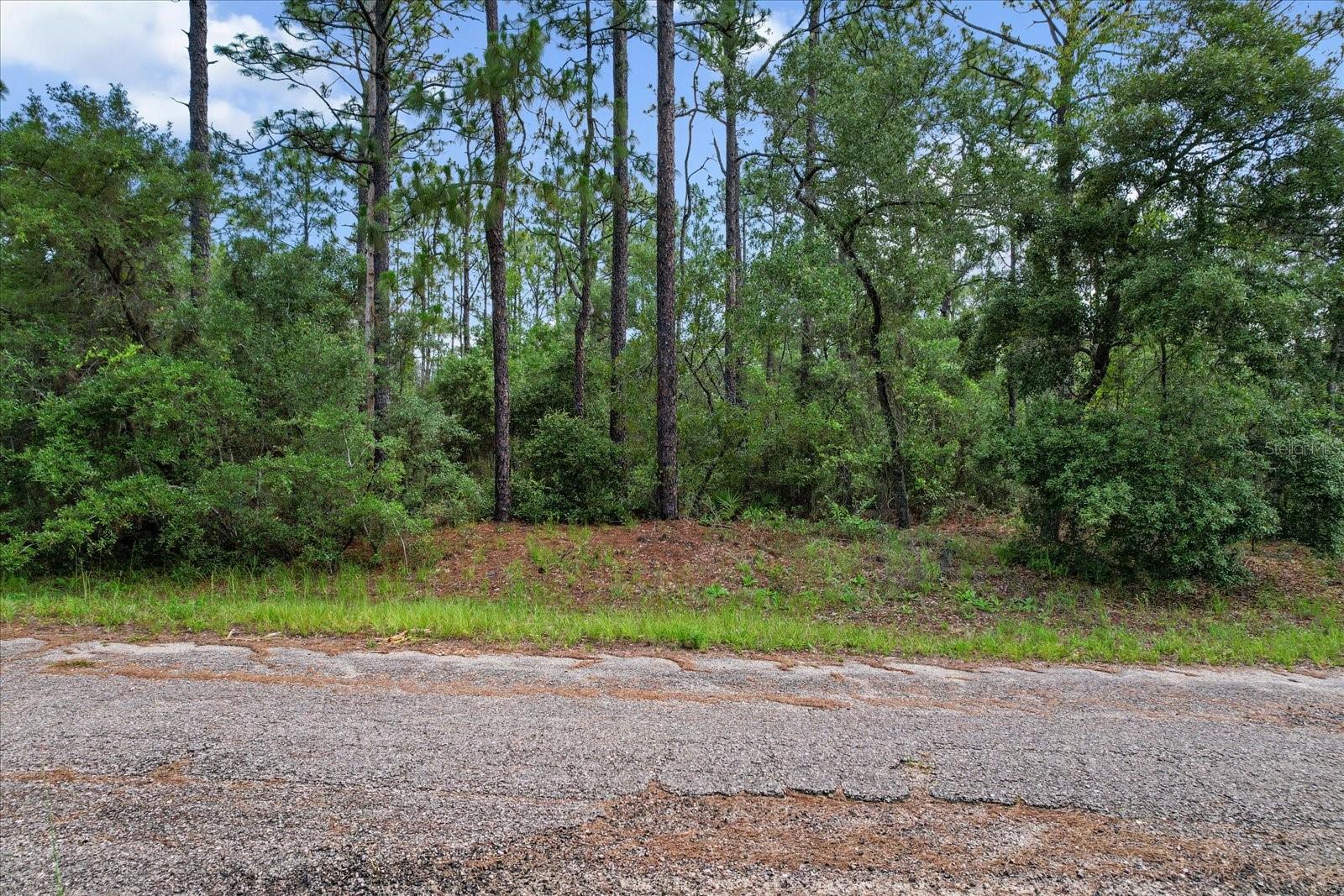 3621 W NORWICK PL, CITRUS SPRINGS, FL, 34433