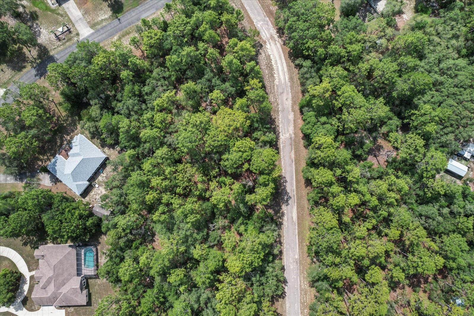 3621 W NORWICK PL, CITRUS SPRINGS, FL, 34433