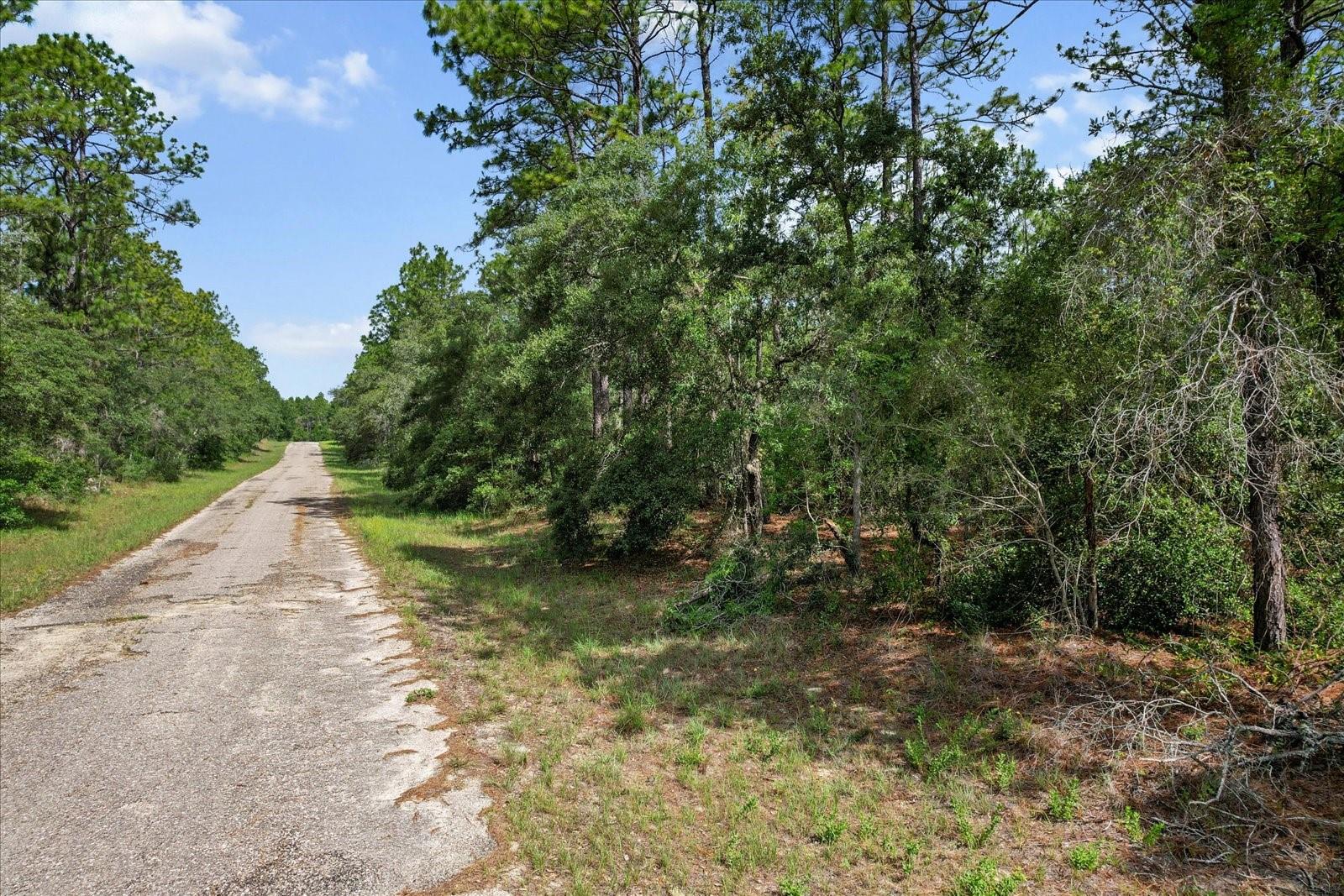 3621 W NORWICK PL, CITRUS SPRINGS, FL, 34433