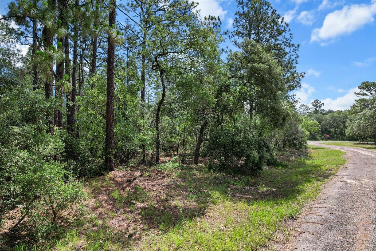 3621 W NORWICK PL, CITRUS SPRINGS, FL, 34433
