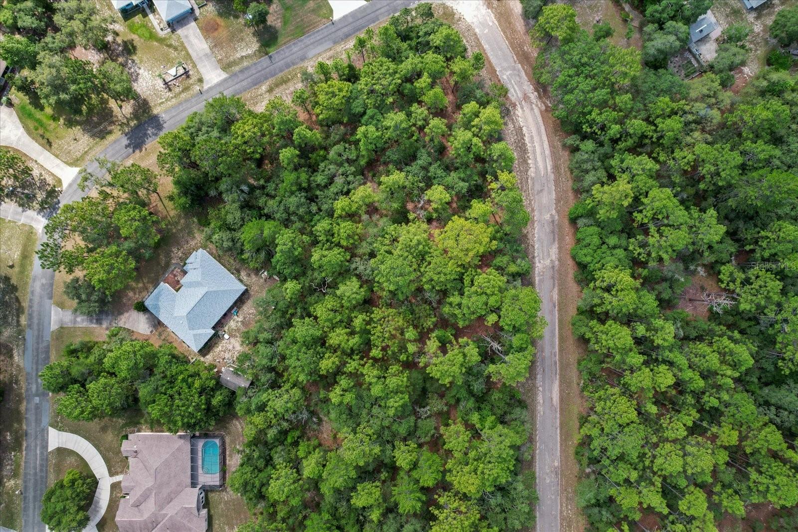 3621 W NORWICK PL, CITRUS SPRINGS, FL, 34433