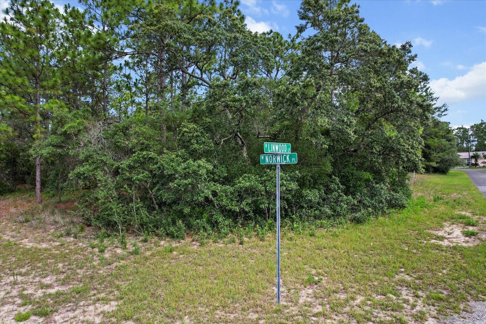 3621 W NORWICK PL, CITRUS SPRINGS, FL, 34433