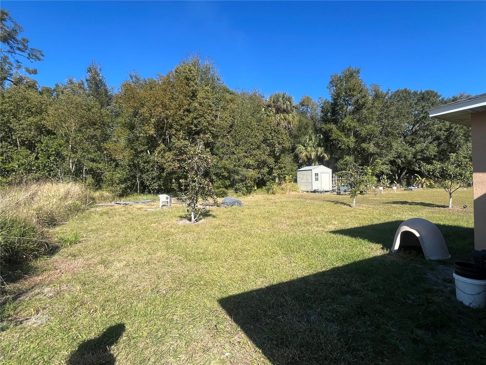 7375 HOLLY CREEK RD, MOUNT DORA, FL, 32757