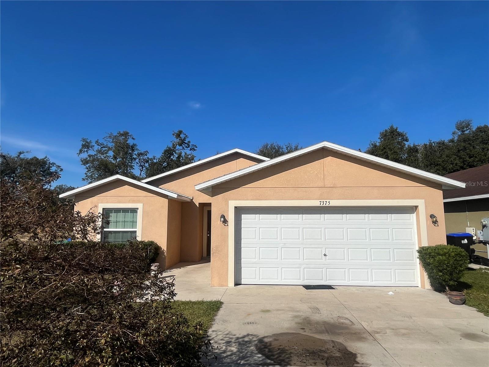 7375 HOLLY CREEK RD, MOUNT DORA, FL, 32757