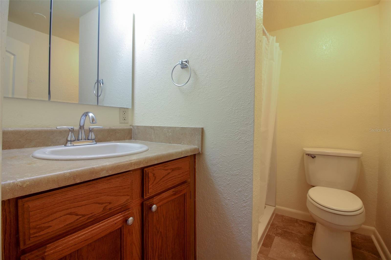 358 1ST AVE N, LAKE WALES, FL, 33859