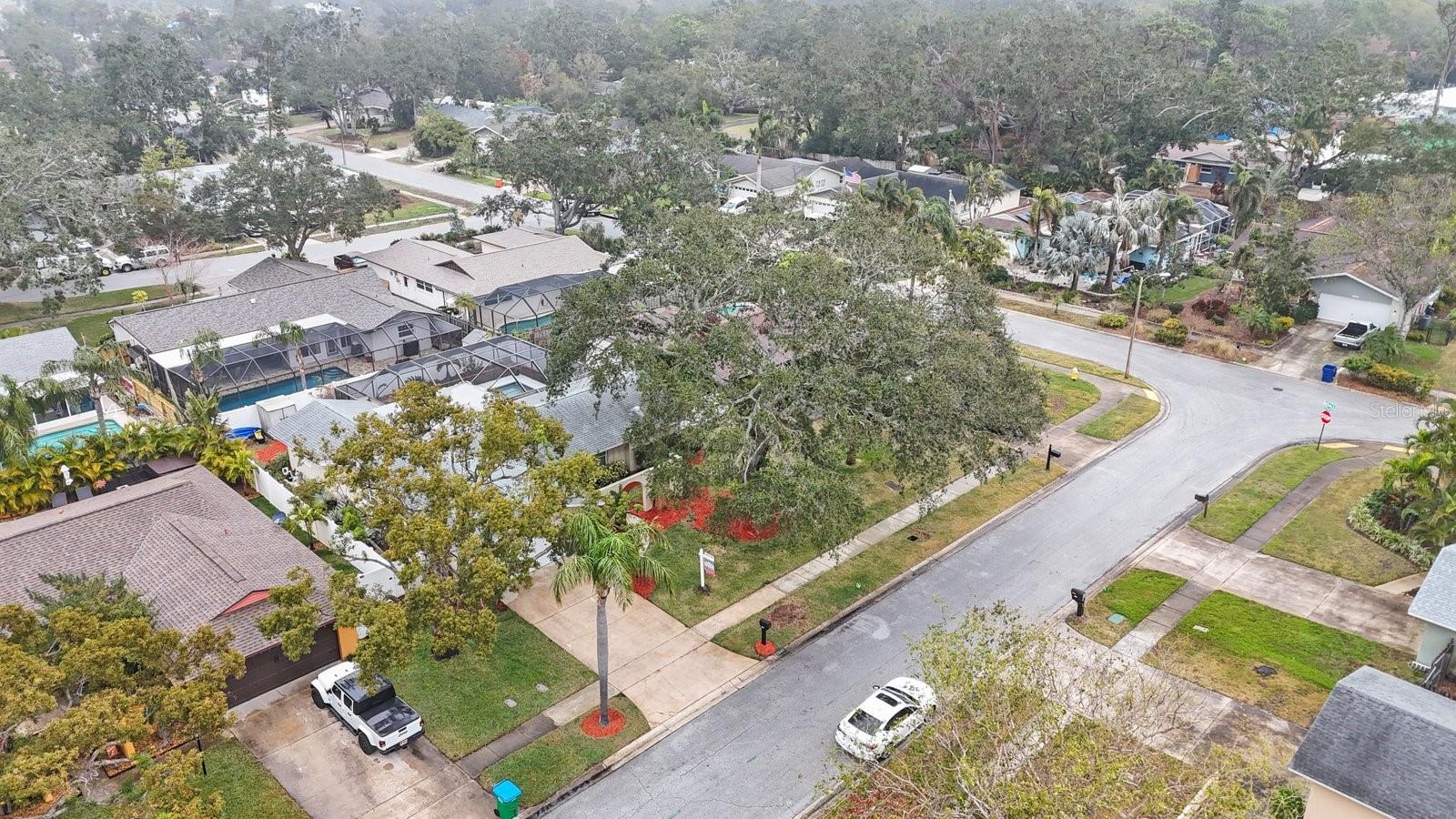13441 DEL PRADO DR S, LARGO, FL, 33774