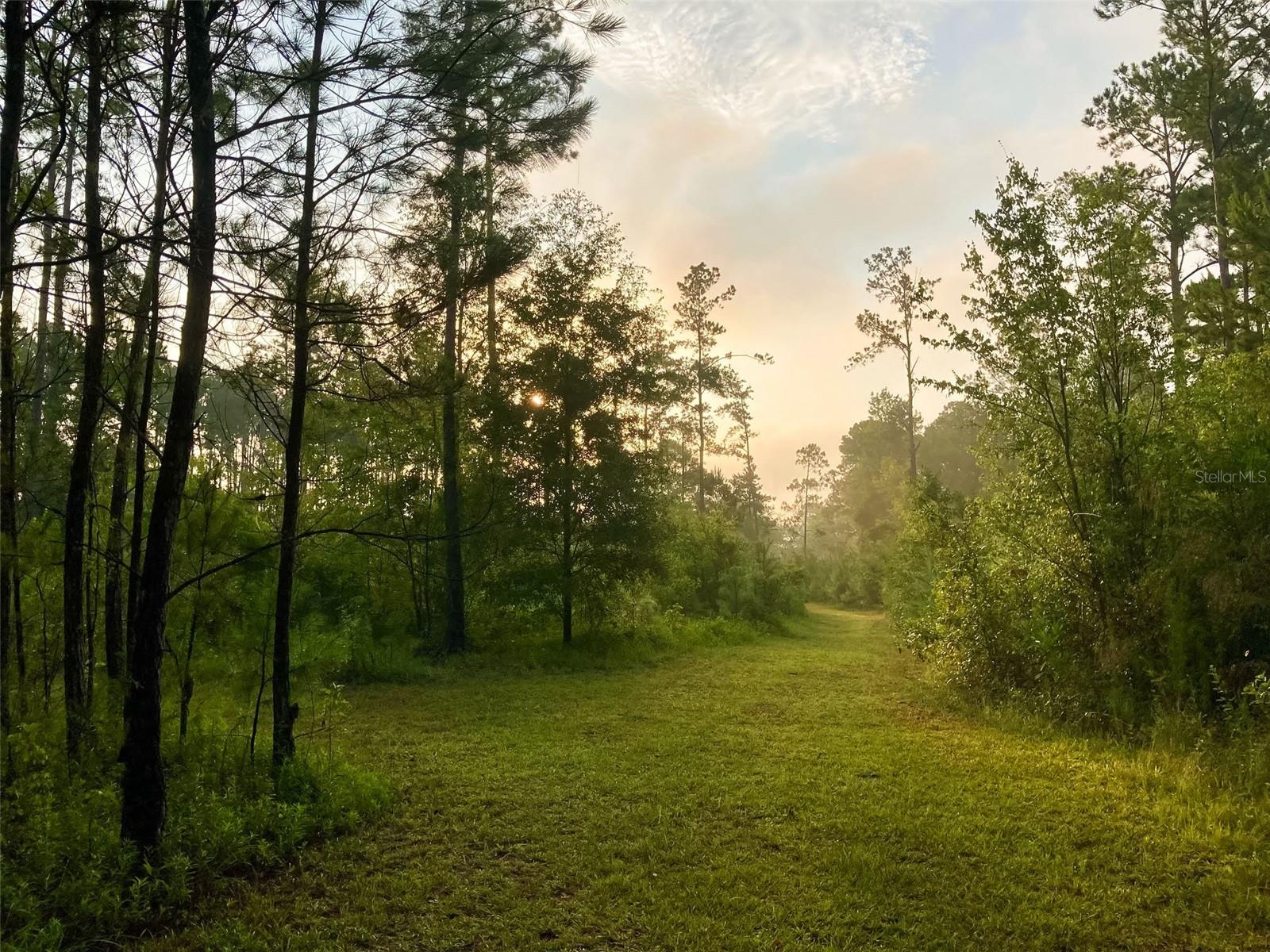 11757 N US HIGHWAY 441, LAKE CITY, FL, 32055
