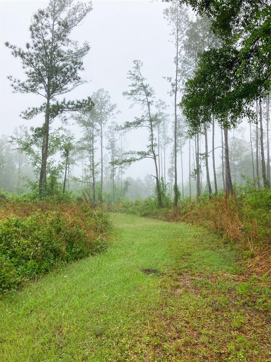 11757 N US HIGHWAY 441, LAKE CITY, FL, 32055