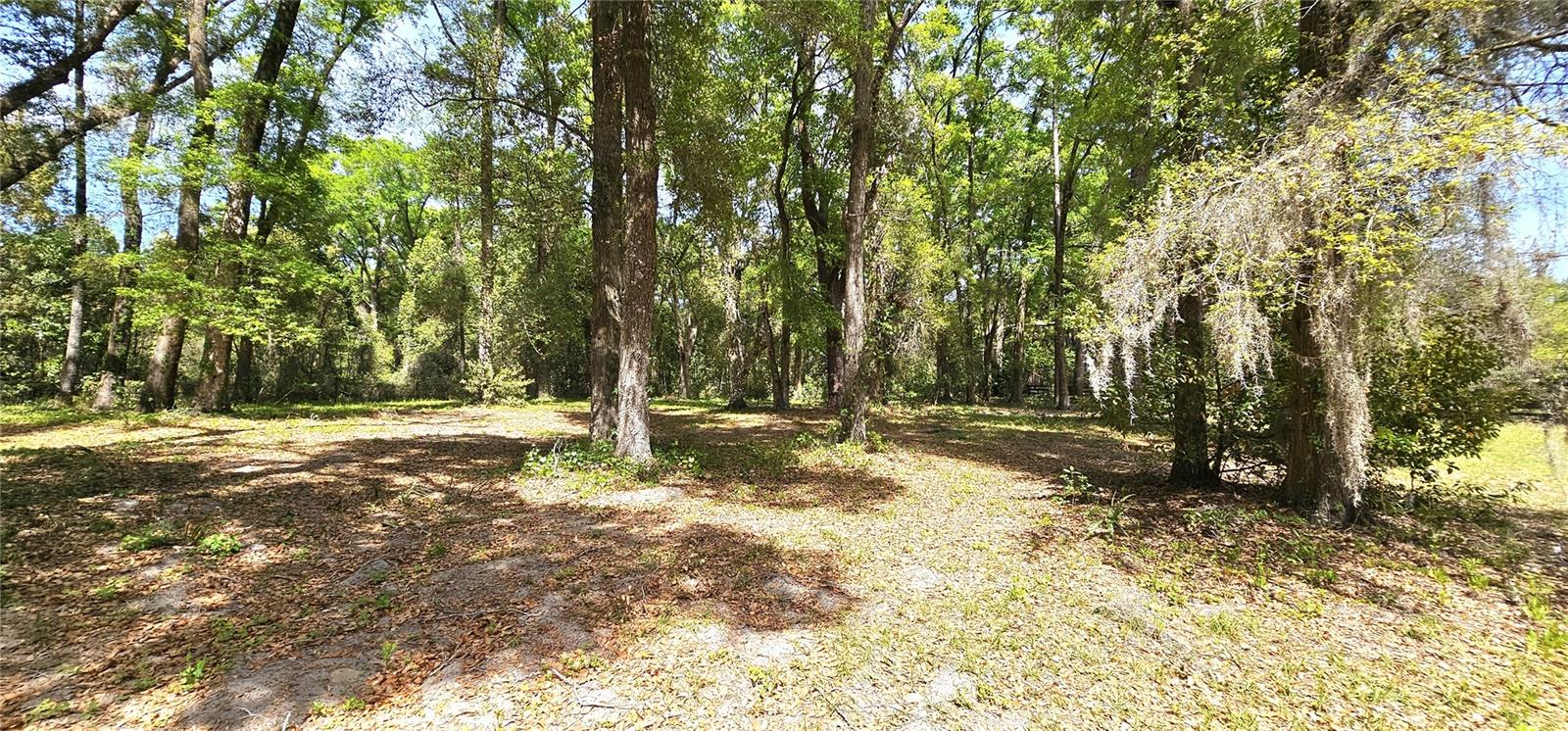 7651 SE 36TH AVE, OCALA, FL, 34480