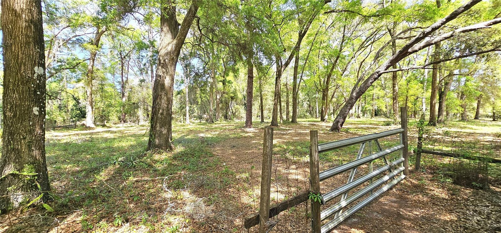 7651 SE 36TH AVE, OCALA, FL, 34480