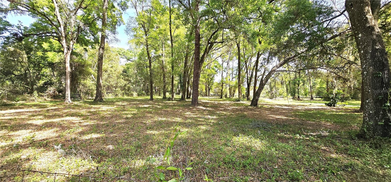 7651 SE 36TH AVE, OCALA, FL, 34480