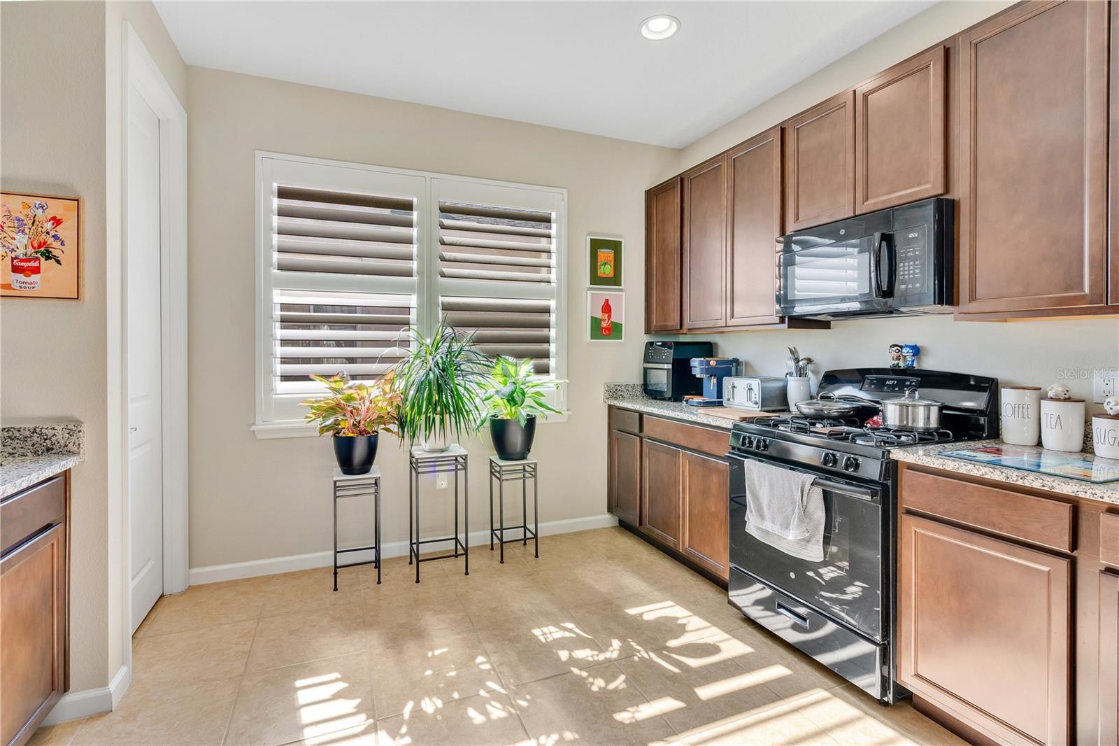 161 OLD MOSS CIR, DELAND, FL, 32724