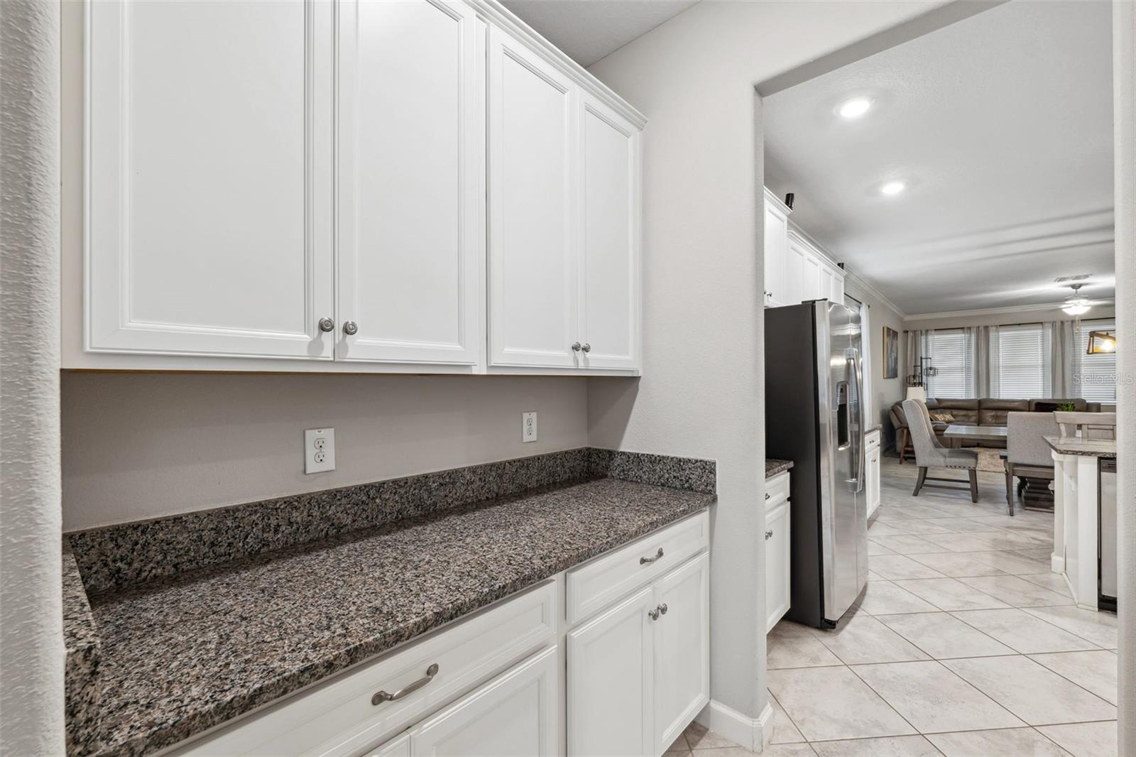 9173 SHADYSIDE LN, LAND O LAKES, FL, 34637