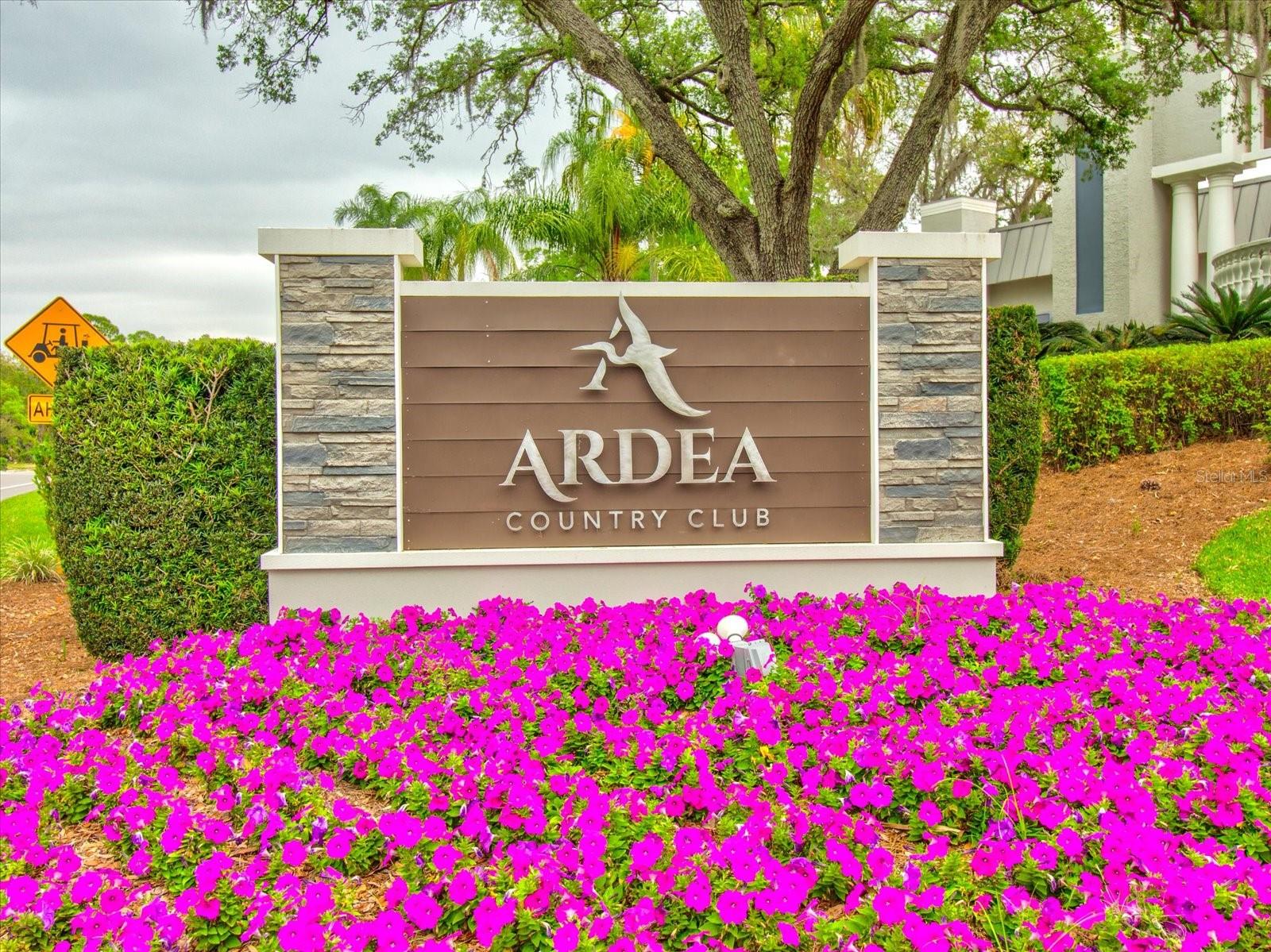 10 ASTER PL, OLDSMAR, FL, 34677