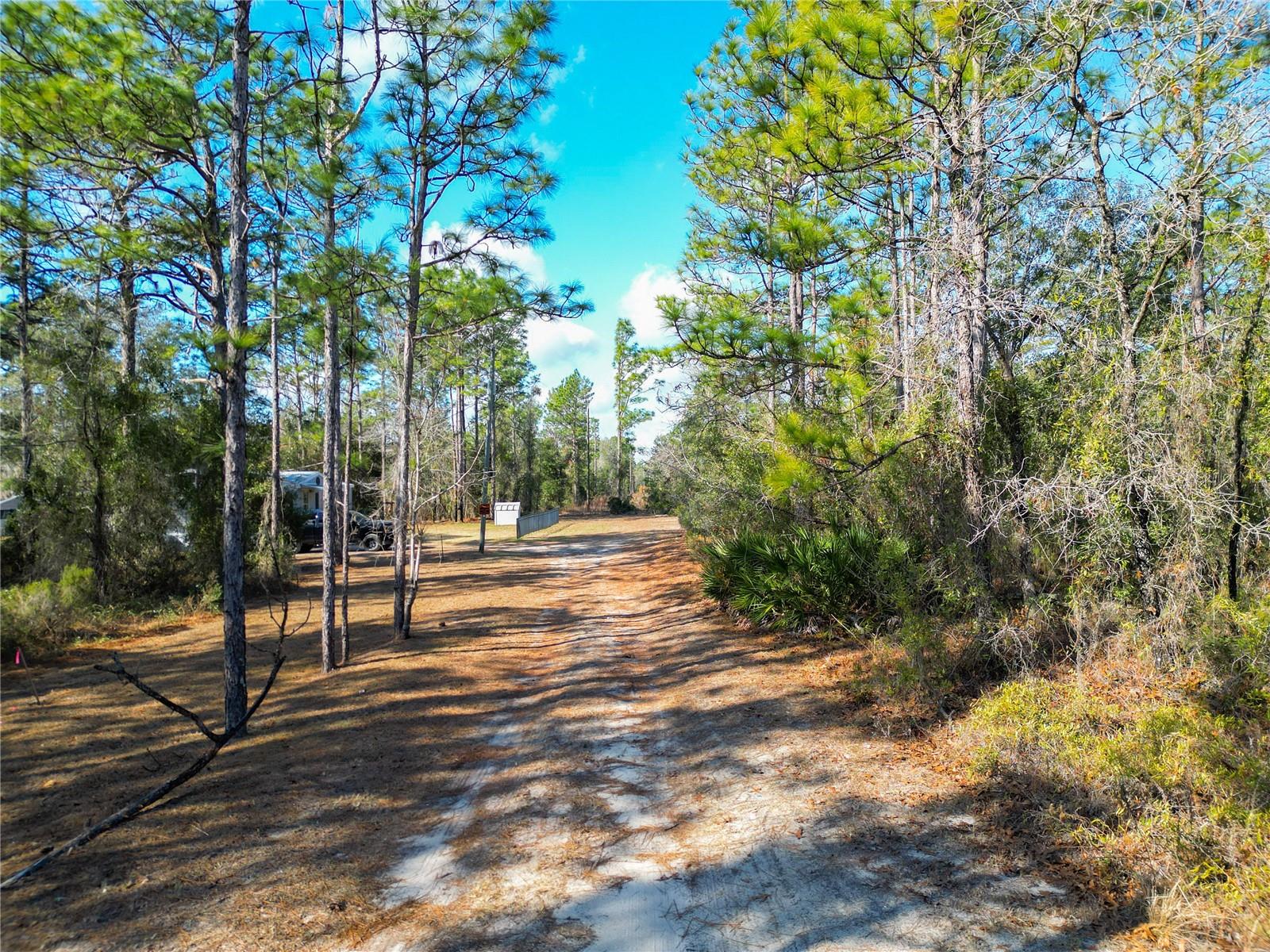 TBD NE 58TH ST, BRONSON, FL, 32621